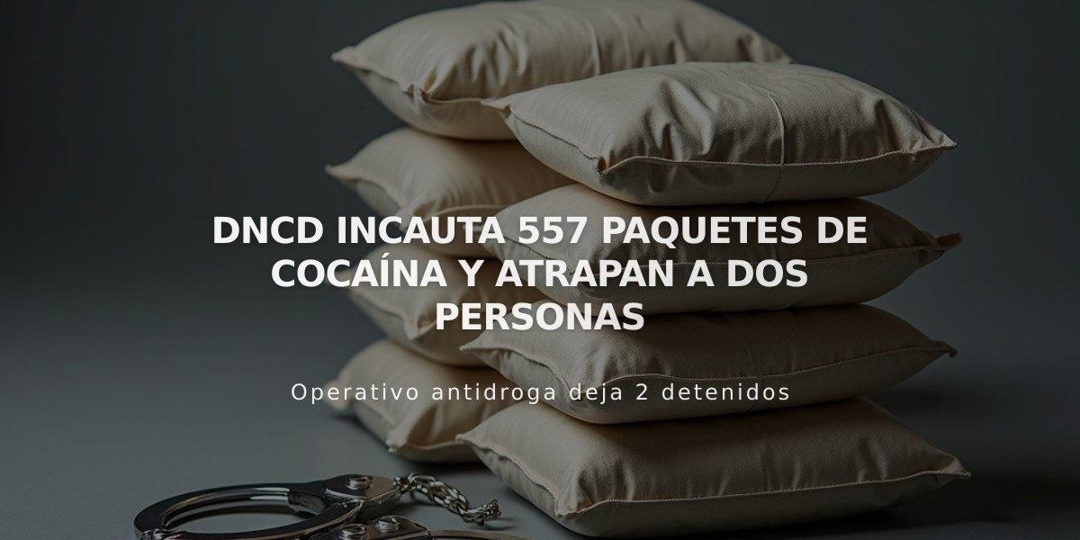 DNCD incauta más de 550 paquetes de droga y arresta dos personas en costas de Peravia