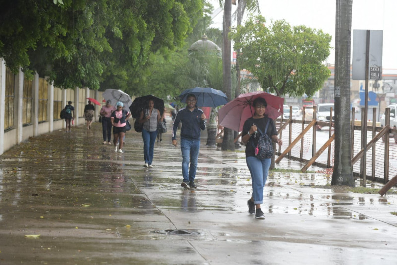 Pedestrians with umbrellas during rainfall