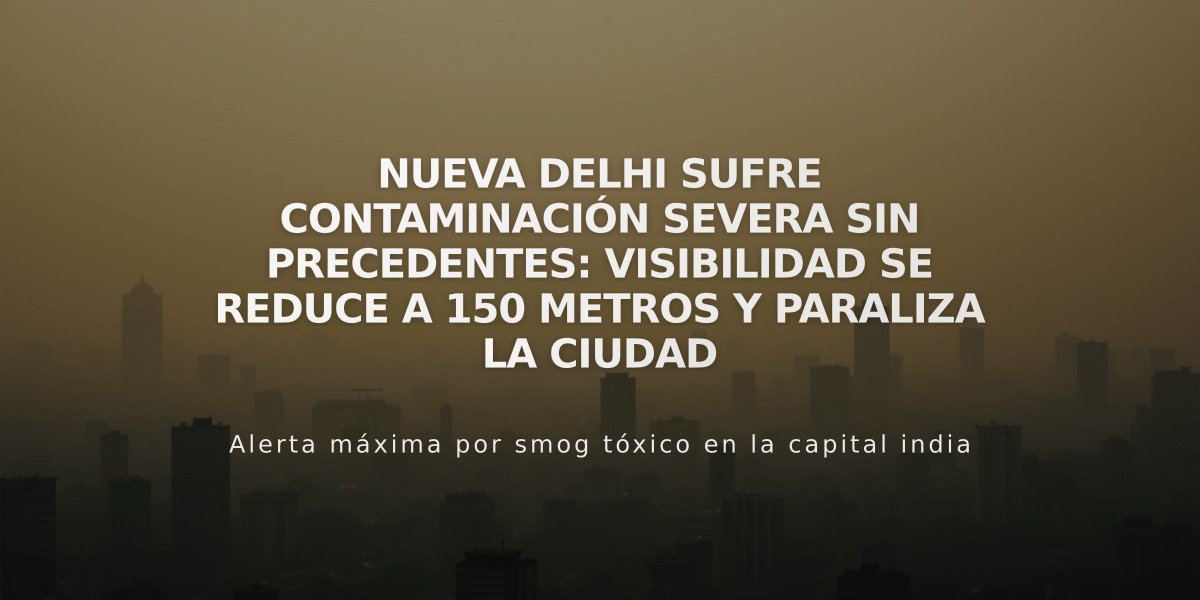 Nueva Delhi sufre contaminación severa sin precedentes: visibilidad se reduce a 150 metros y paraliza la ciudad