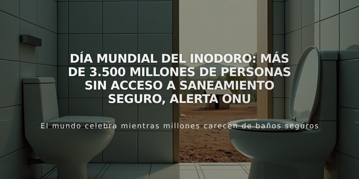 Día Mundial del Inodoro: Más de 3.500 millones de personas sin acceso a saneamiento seguro, alerta ONU