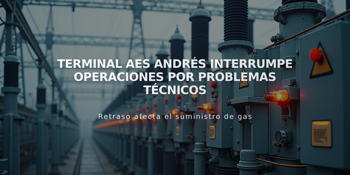 Terminal AES Andrés interrumpe operaciones por problemas técnicos