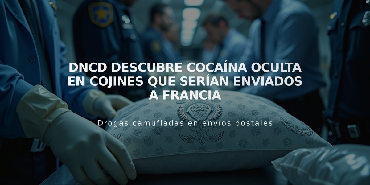 DNCD descubre cocaína oculta en cojines que serían enviados a Francia