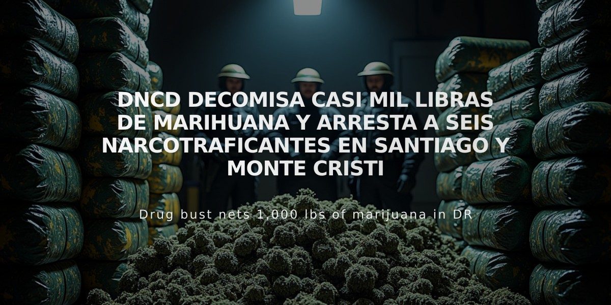 DNCD decomisa casi mil libras de marihuana y arresta a seis narcotraficantes en Santiago y Monte Cristi