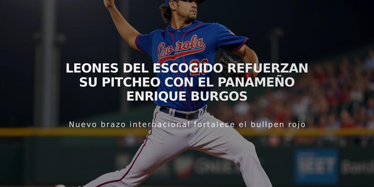 Leones del Escogido refuerzan su pitcheo con el panameño Enrique Burgos