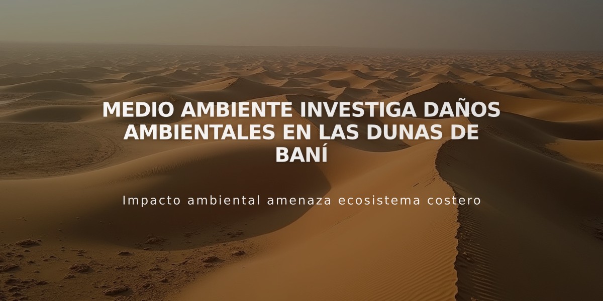 Medio Ambiente investiga daños ambientales en las Dunas de Baní