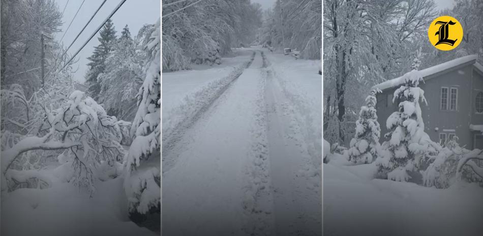 Paisaje nevado con árboles y cables