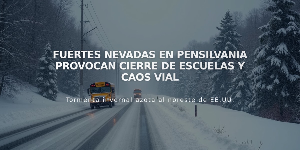 Fuertes nevadas en Pensilvania provocan cierre de escuelas y caos vial