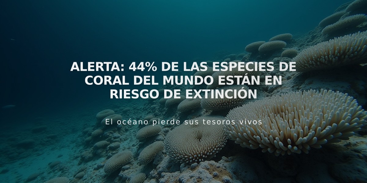 Alerta: 44% de las especies de coral del mundo están en riesgo de extinción