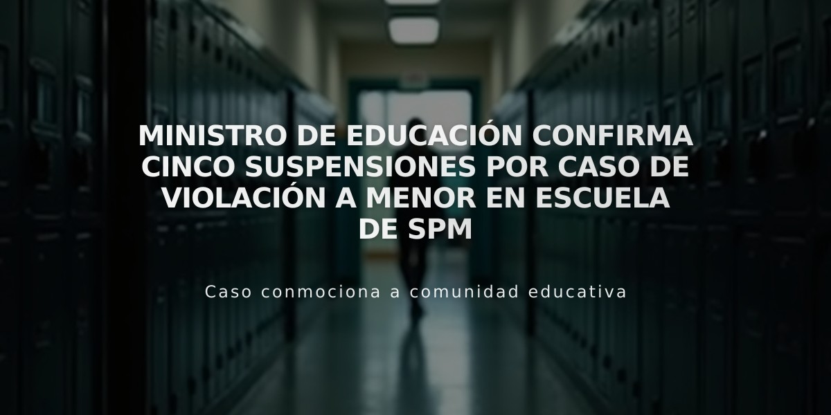 Ministro de Educación confirma cinco suspensiones por caso de violación a menor en escuela de SPM