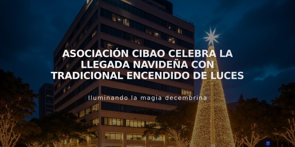 Asociación Cibao celebra la llegada navideña con tradicional encendido de luces