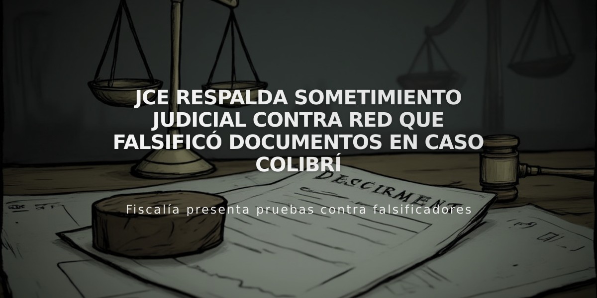 JCE respalda sometimiento judicial contra red que falsificó documentos en caso Colibrí