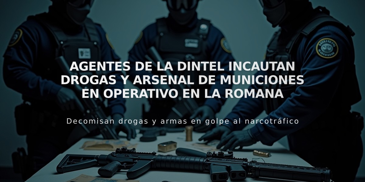 Agentes de la Dintel incautan drogas y arsenal de municiones en operativo en La Romana