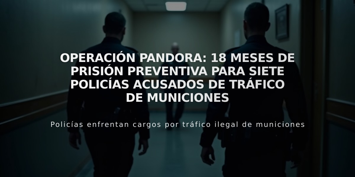 Operación Pandora: 18 meses de prisión preventiva para siete policías acusados de tráfico de municiones