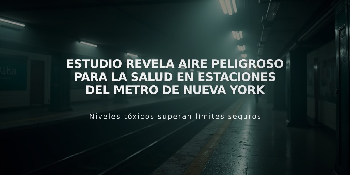 Estudio revela aire peligroso para la salud en estaciones del metro de Nueva York