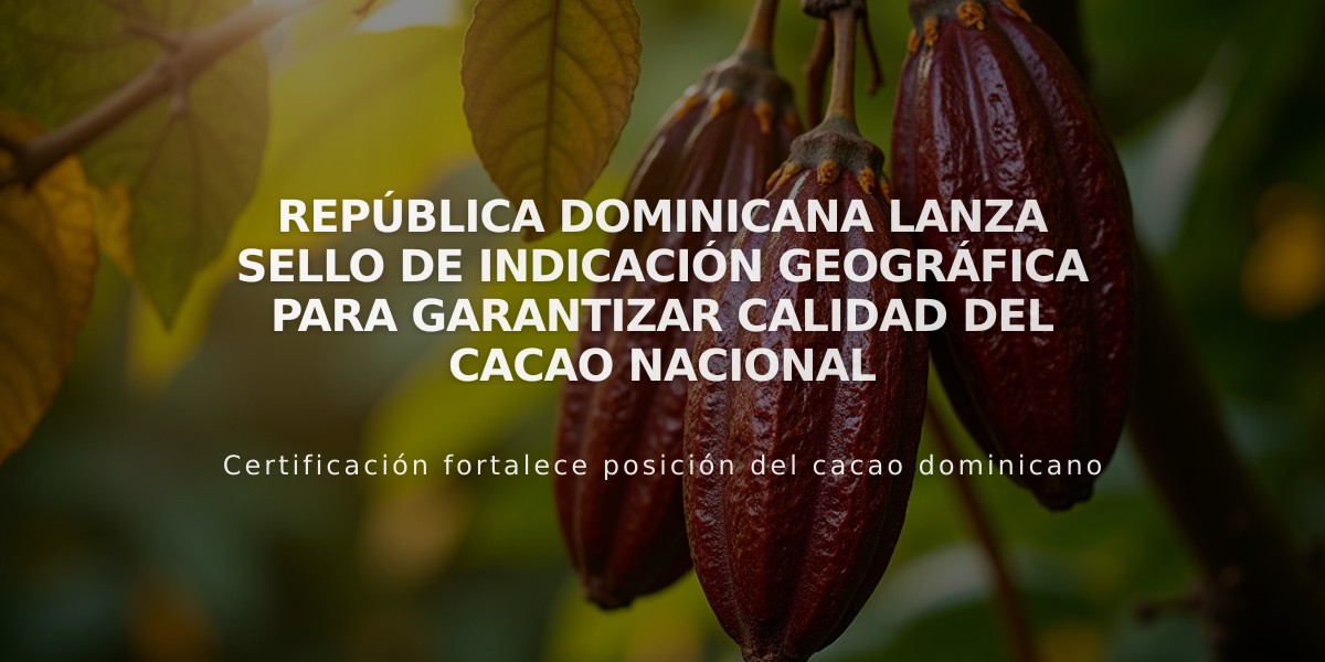 República Dominicana lanza Sello de Indicación Geográfica para garantizar calidad del cacao nacional