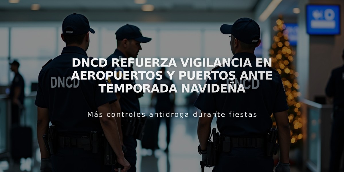 DNCD refuerza vigilancia en aeropuertos y puertos ante temporada navideña