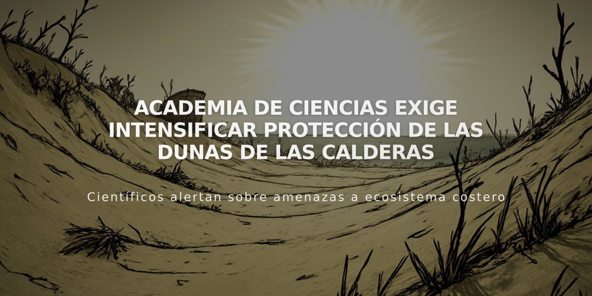 Academia de Ciencias exige intensificar protección de las Dunas de Las Calderas