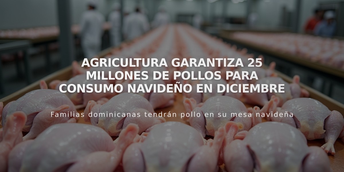 Agricultura garantiza 25 millones de pollos para consumo navideño en diciembre