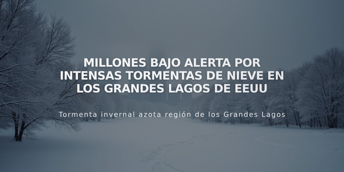 Millones bajo alerta por intensas tormentas de nieve en los Grandes Lagos de EEUU