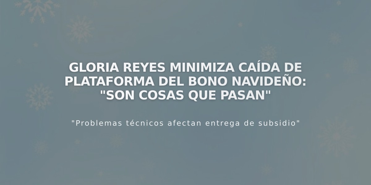 Gloria Reyes minimiza caída de plataforma del bono navideño: "Son cosas que pasan"