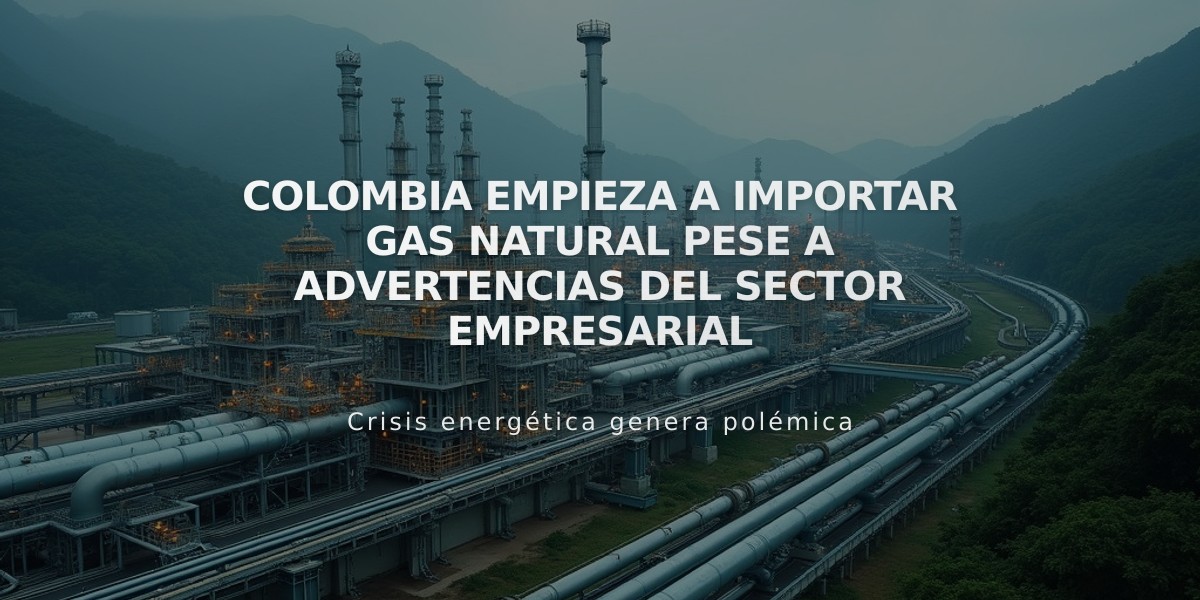 Colombia empieza a importar gas natural pese a advertencias del sector empresarial