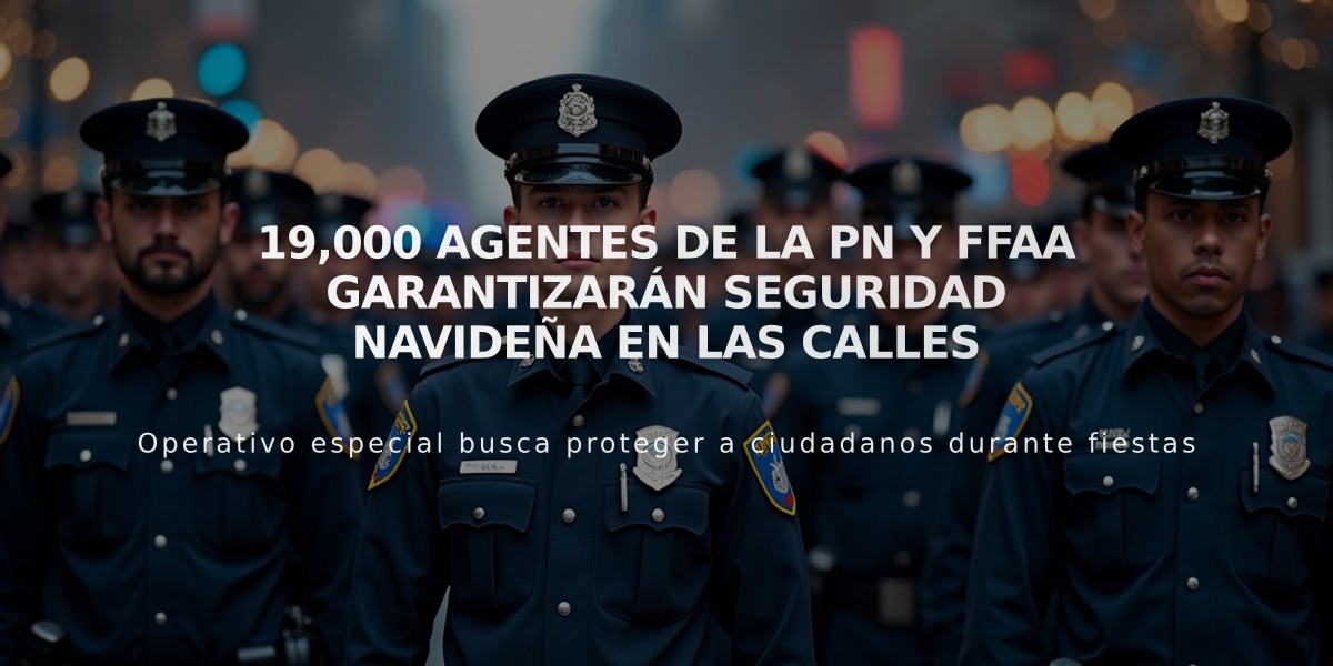 19,000 agentes de la PN y FFAA garantizarán seguridad navideña en las calles