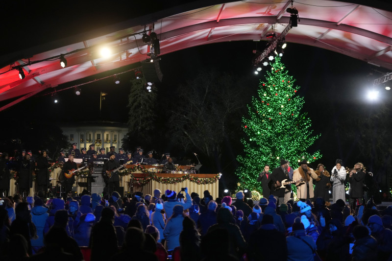 Árbol navideño durante espectáculo festivo