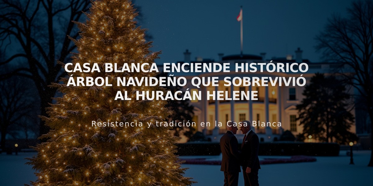 Casa Blanca enciende histórico árbol navideño que sobrevivió al huracán Helene