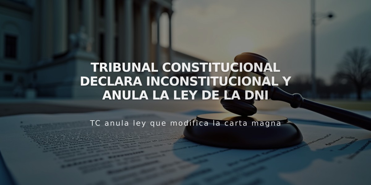 Tribunal Constitucional declara inconstitucional y anula la Ley de la DNI