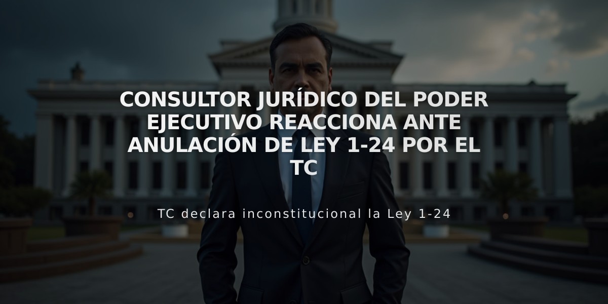 Consultor jurídico del Poder Ejecutivo reacciona ante anulación de Ley 1-24 por el TC