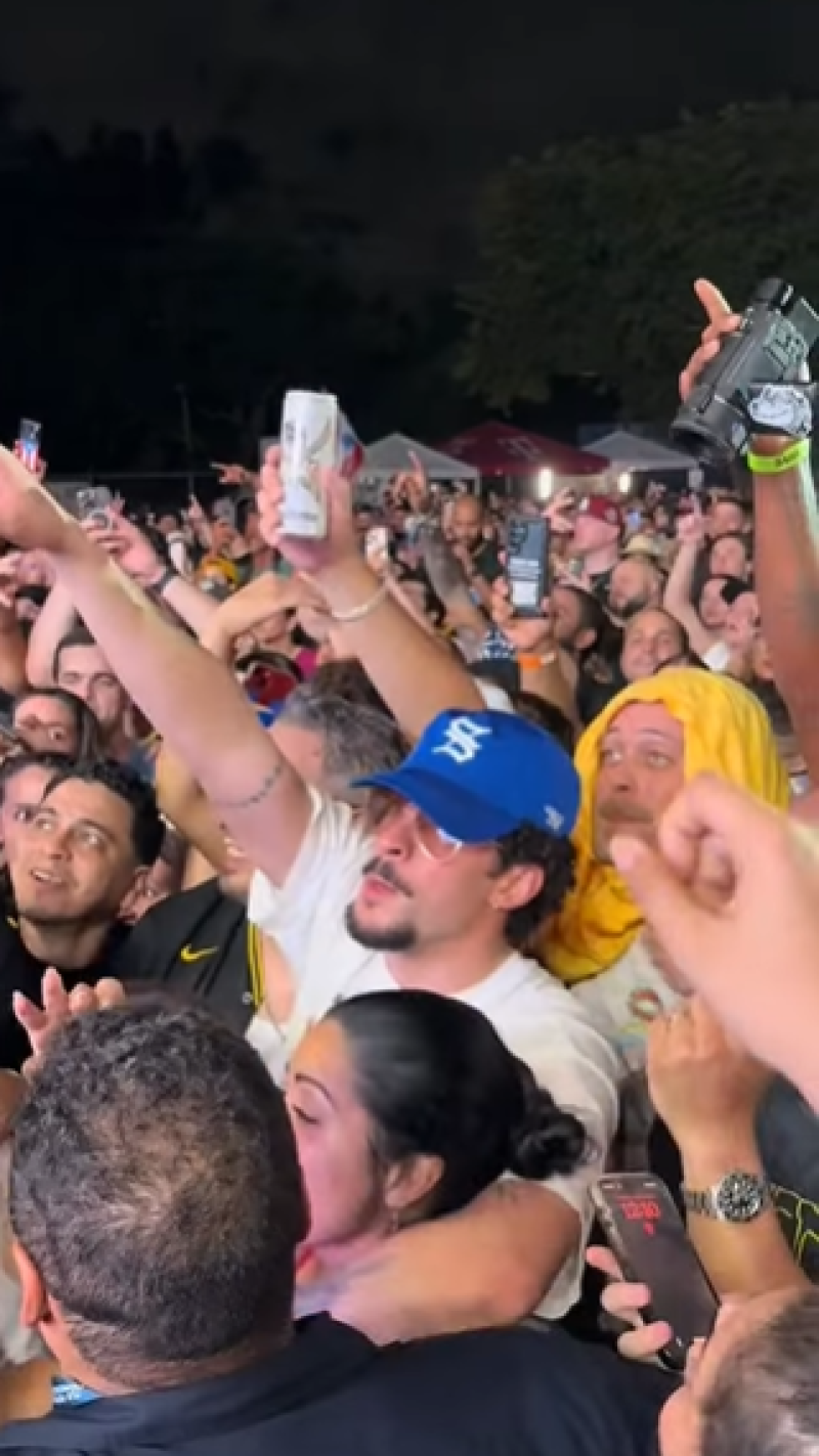 Multitud disfrutando concierto al aire libre