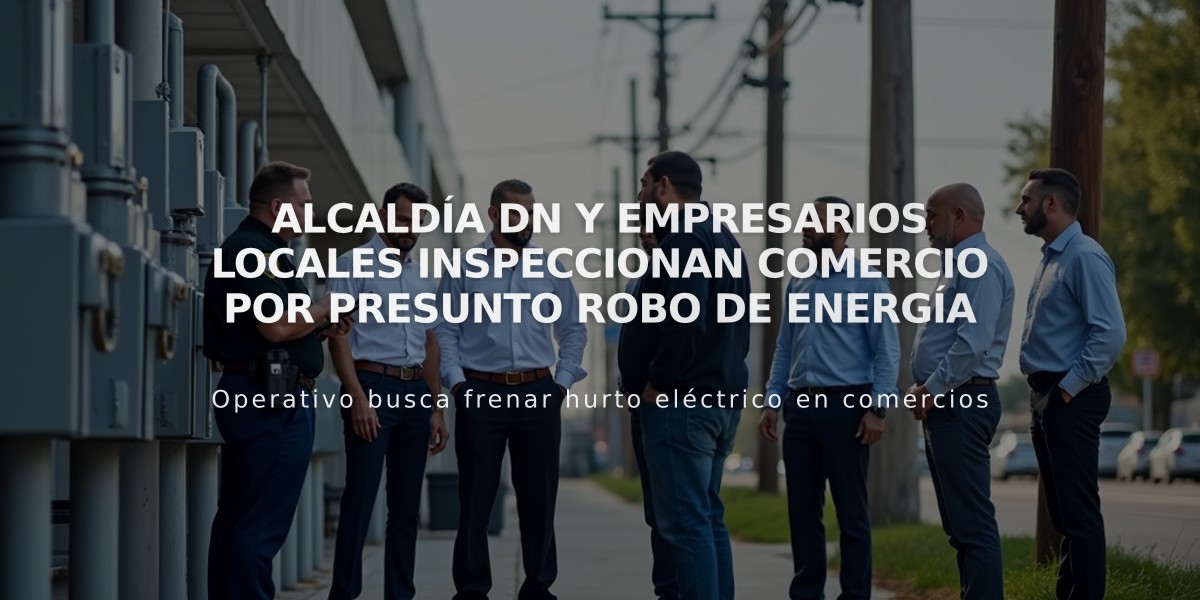 Alcaldía DN y empresarios locales inspeccionan comercio por presunto robo de energía