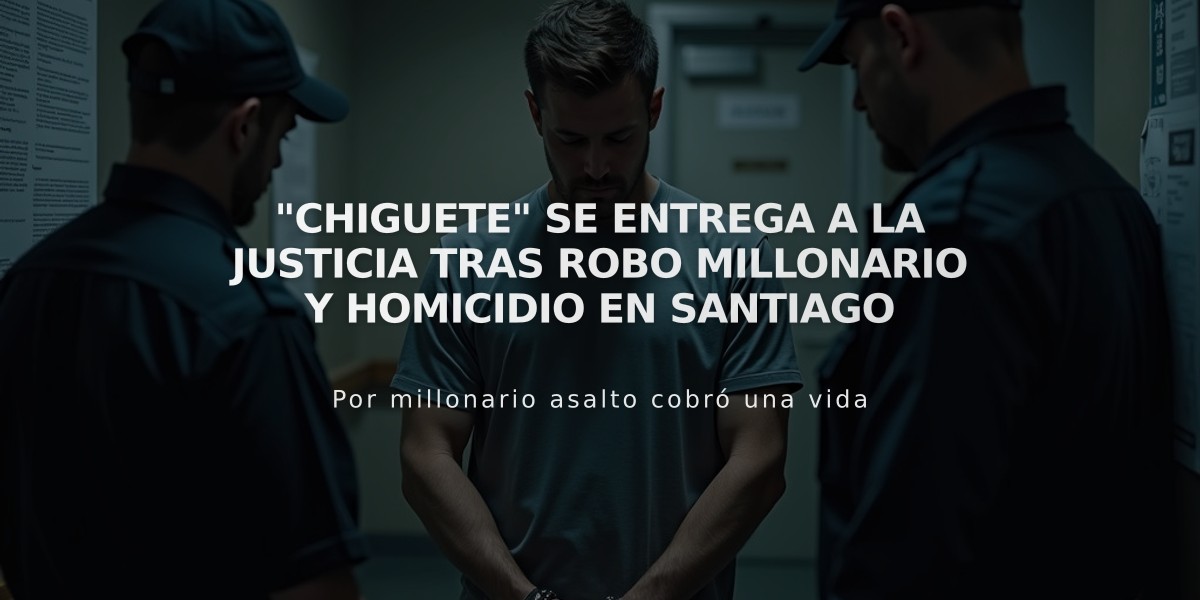 "Chiguete" se entrega a la justicia tras robo millonario y homicidio en Santiago