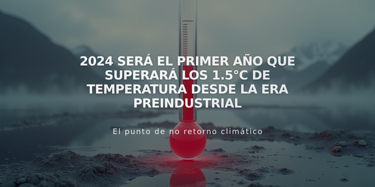 2024 será el primer año que superará los 1.5°C de temperatura desde la era preindustrial