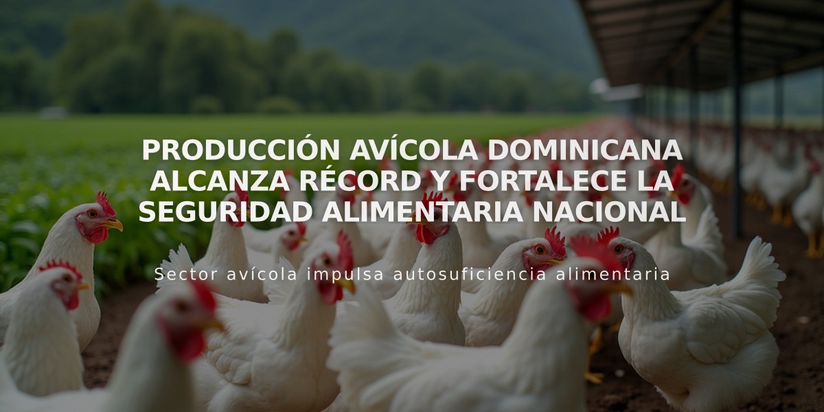 Producción avícola dominicana alcanza récord y fortalece la seguridad alimentaria nacional