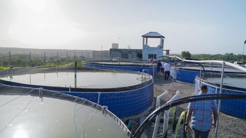 Estanques circulares para cultivo de peces