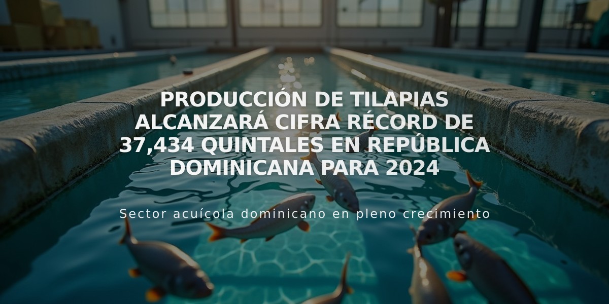 Producción de tilapias alcanzará cifra récord de 37,434 quintales en República Dominicana para 2024