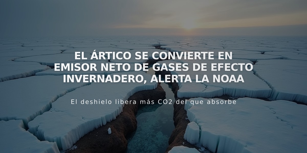 El Ártico se convierte en emisor neto de gases de efecto invernadero, alerta la NOAA