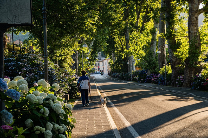 Dos personas paseando un perro grande