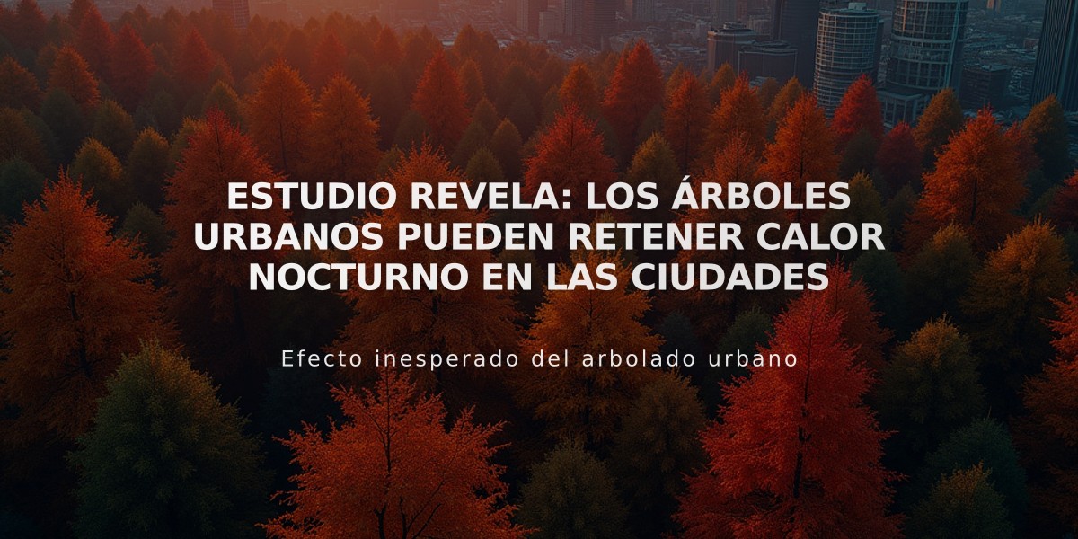 Estudio revela: Los árboles urbanos pueden retener calor nocturno en las ciudades