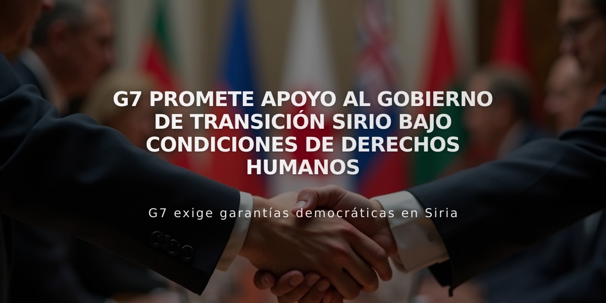 G7 promete apoyo al Gobierno de transición sirio bajo condiciones de Derechos Humanos