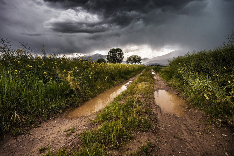 Camino de tierra enlodado en naturaleza