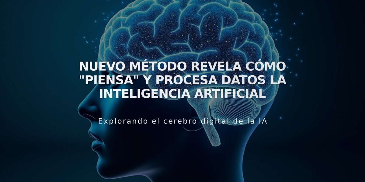 Nuevo método revela cómo "piensa" y procesa datos la Inteligencia Artificial