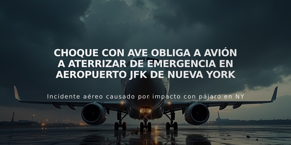 Choque con ave obliga a avión a aterrizar de emergencia en aeropuerto JFK de Nueva York