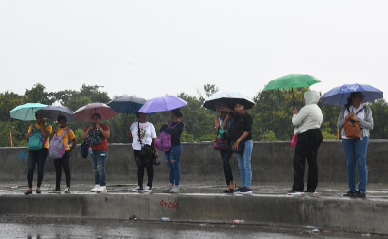 Personas caminando con paraguas bajo lluvia