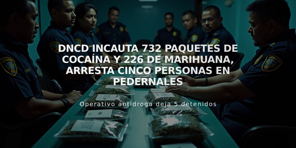 DNCD incauta 732 paquetes de cocaína y 226 de marihuana, arresta cinco personas en Pedernales