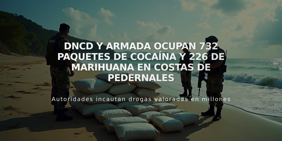 DNCD y Armada ocupan 732 paquetes de cocaína y 226 de marihuana en costas de Pedernales