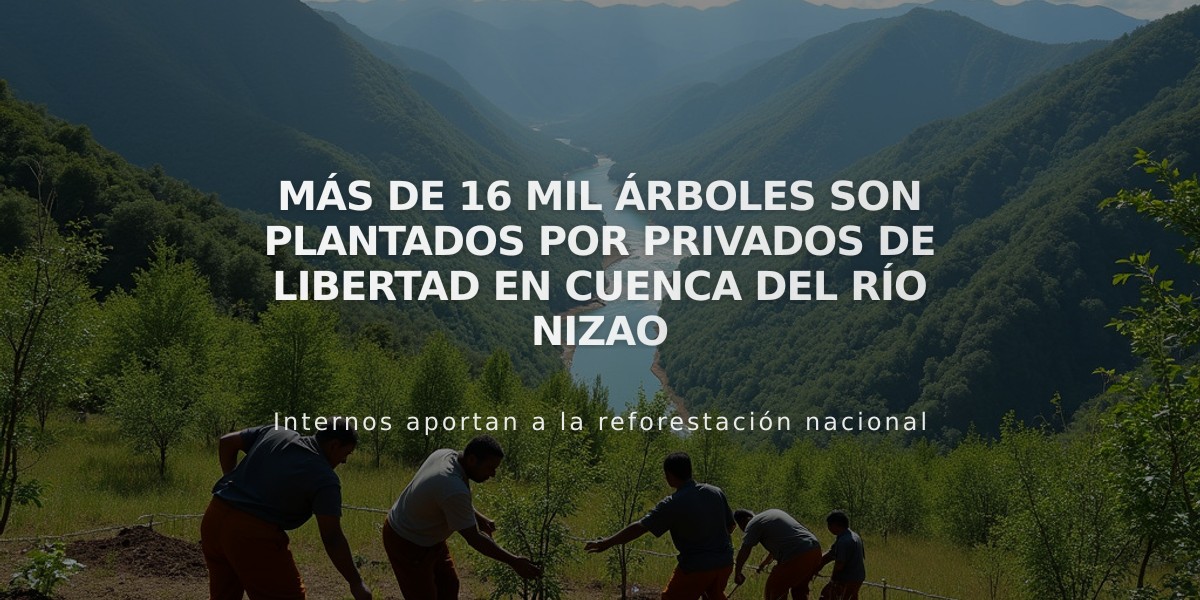 Más de 16 mil árboles son plantados por privados de libertad en cuenca del río Nizao