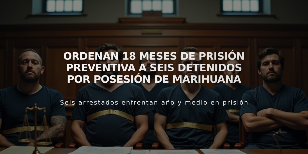 Ordenan 18 meses de prisión preventiva a seis detenidos por posesión de marihuana