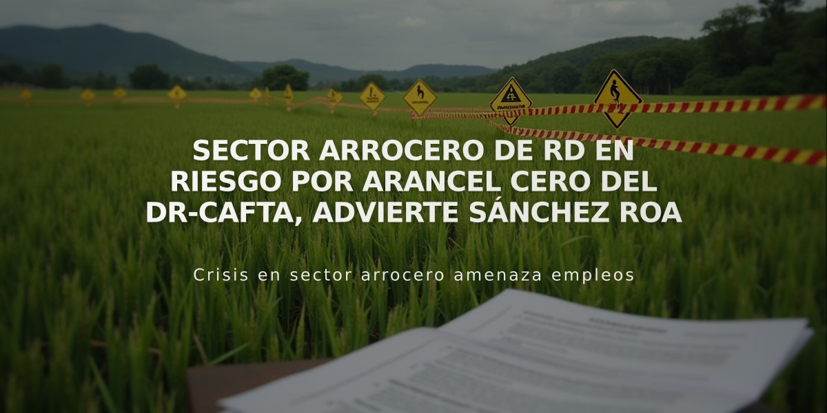 Sector arrocero de RD en riesgo por arancel cero del DR-CAFTA, advierte Sánchez Roa